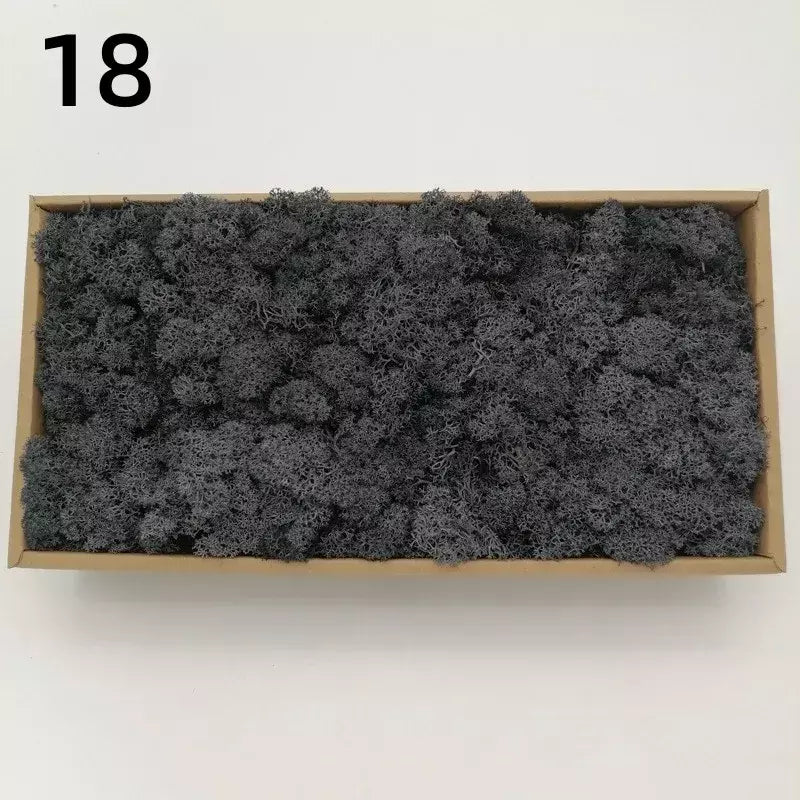 Novo 50/30/10g plantas verdes artificiais vida eterna musgo grama casa decoração do jardim mini paisagem flor falsa diy artesanato presentes