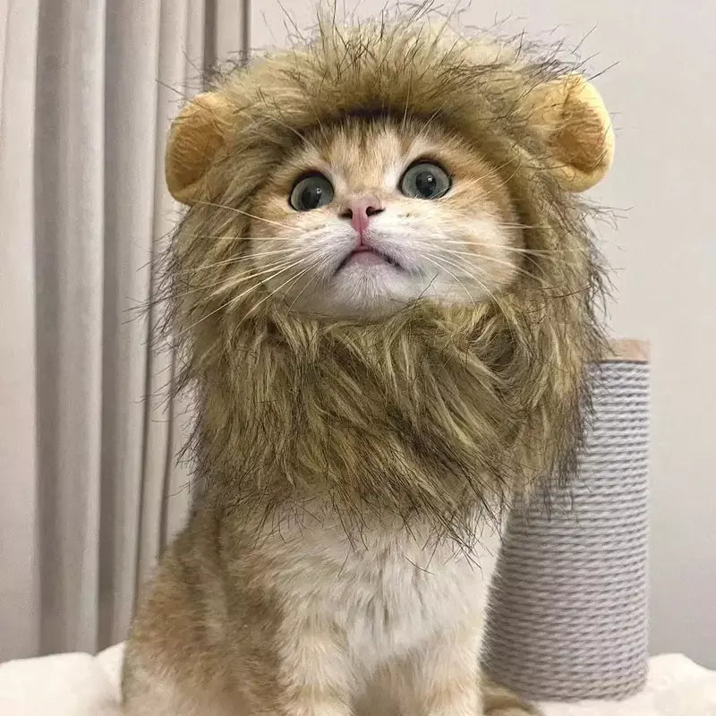 Gato cosplay vestir-se chapéu para animais de estimação juba de leão para gato filhote de cachorro leão peruca traje festa decoração halloween natal gatospet suprimentos