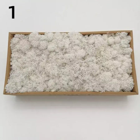 Novo 50/30/10g plantas verdes artificiais vida eterna musgo grama casa decoração do jardim mini paisagem flor falsa diy artesanato presentes