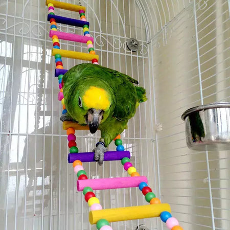 Pássaro papagaio brinquedos colorido pendurado gaiola escadas de escalada com papagaios de madeira natural suspensão ponte balanço brinquedos pássaro brinquedo suprimentos