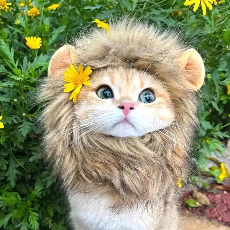 Gato cosplay vestir-se chapéu para animais de estimação juba de leão para gato filhote de cachorro leão peruca traje festa decoração halloween natal gatospet suprimentos
