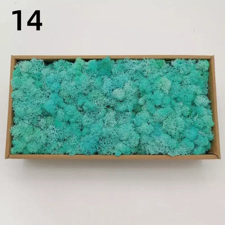 Novo 50/30/10g plantas verdes artificiais vida eterna musgo grama casa decoração do jardim mini paisagem flor falsa diy artesanato presentes