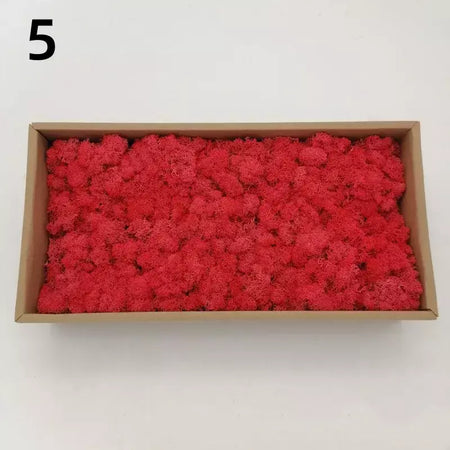Novo 50/30/10g plantas verdes artificiais vida eterna musgo grama casa decoração do jardim mini paisagem flor falsa diy artesanato presentes