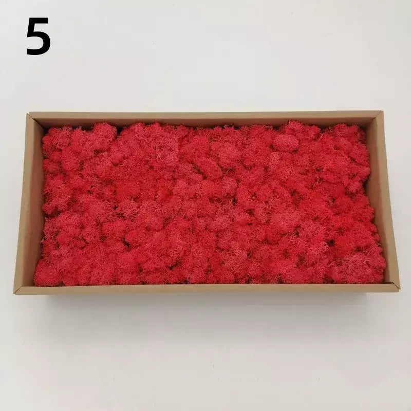 Novo 50/30/10g plantas verdes artificiais vida eterna musgo grama casa decoração do jardim mini paisagem flor falsa diy artesanato presentes