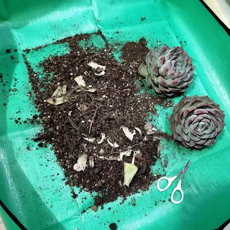 Tapete de plantio dobrável à prova d'água, tapete de jardim para vaso de flores, transplante, mistura de solo, ferramenta de poda de plantas
