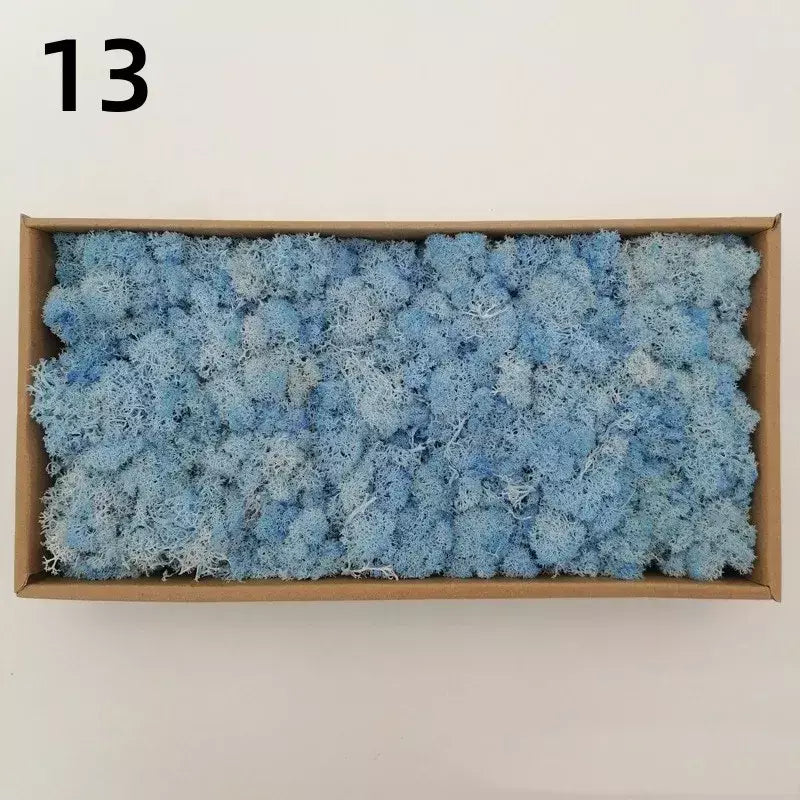 Novo 50/30/10g plantas verdes artificiais vida eterna musgo grama casa decoração do jardim mini paisagem flor falsa diy artesanato presentes