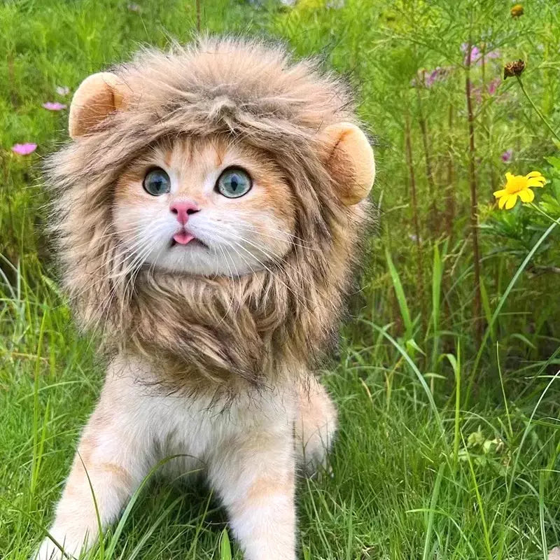 Gato cosplay vestir-se chapéu para animais de estimação juba de leão para gato filhote de cachorro leão peruca traje festa decoração halloween natal gatospet suprimentos