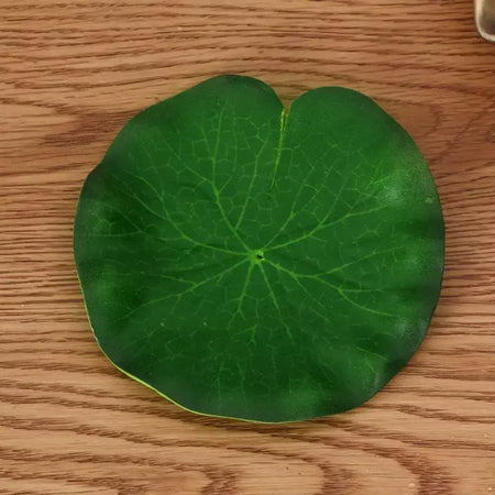 Lifelike Floating Lotus Artificial Flower Decoration, Water Lily, Micro Paisagem para Casamento, Lagoa, Jardim, Decoração de Plantas Falsas, 10pcs