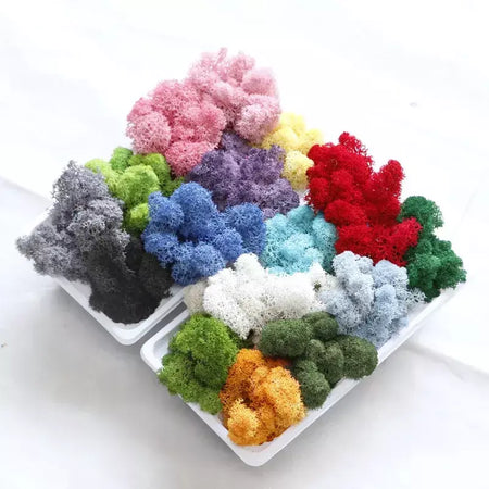 Novo 50/30/10g plantas verdes artificiais vida eterna musgo grama casa decoração do jardim mini paisagem flor falsa diy artesanato presentes