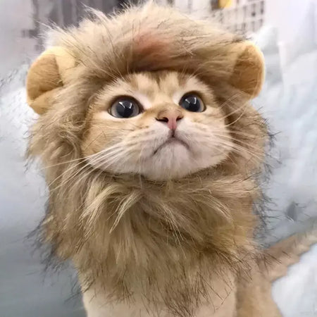 Gato cosplay vestir-se chapéu para animais de estimação juba de leão para gato filhote de cachorro leão peruca traje festa decoração halloween natal gatospet suprimentos