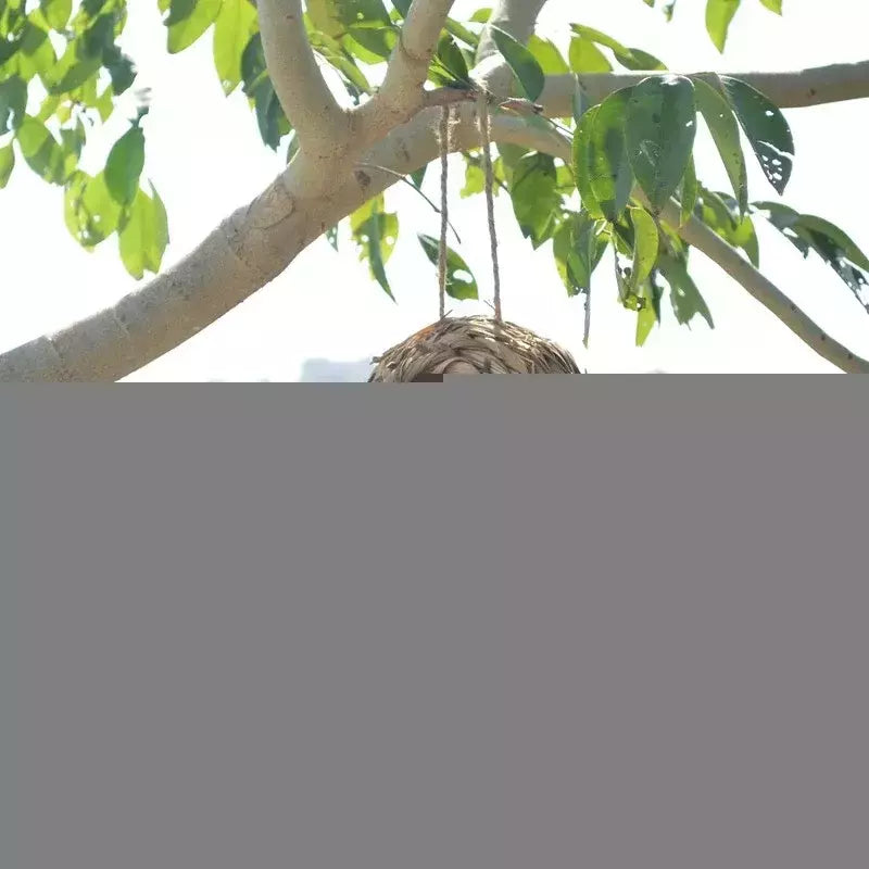 Ninho de pássaros tecido decorativo ao ar livre, Bird Cage Grass Egg Cage, Ninho de papagaio suspenso, Casas para quarto de estimação, Novo, 2024