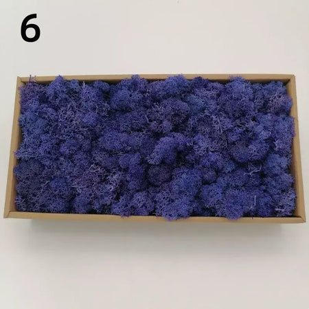 Novo 50/30/10g plantas verdes artificiais vida eterna musgo grama casa decoração do jardim mini paisagem flor falsa diy artesanato presentes