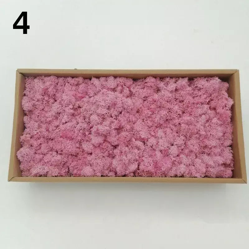 Novo 50/30/10g plantas verdes artificiais vida eterna musgo grama casa decoração do jardim mini paisagem flor falsa diy artesanato presentes