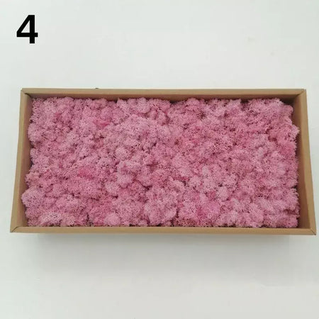 Novo 50/30/10g plantas verdes artificiais vida eterna musgo grama casa decoração do jardim mini paisagem flor falsa diy artesanato presentes