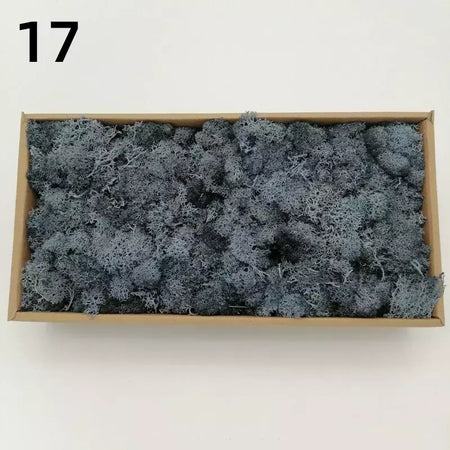 Novo 50/30/10g plantas verdes artificiais vida eterna musgo grama casa decoração do jardim mini paisagem flor falsa diy artesanato presentes