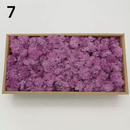 Novo 50/30/10g plantas verdes artificiais vida eterna musgo grama casa decoração do jardim mini paisagem flor falsa diy artesanato presentes