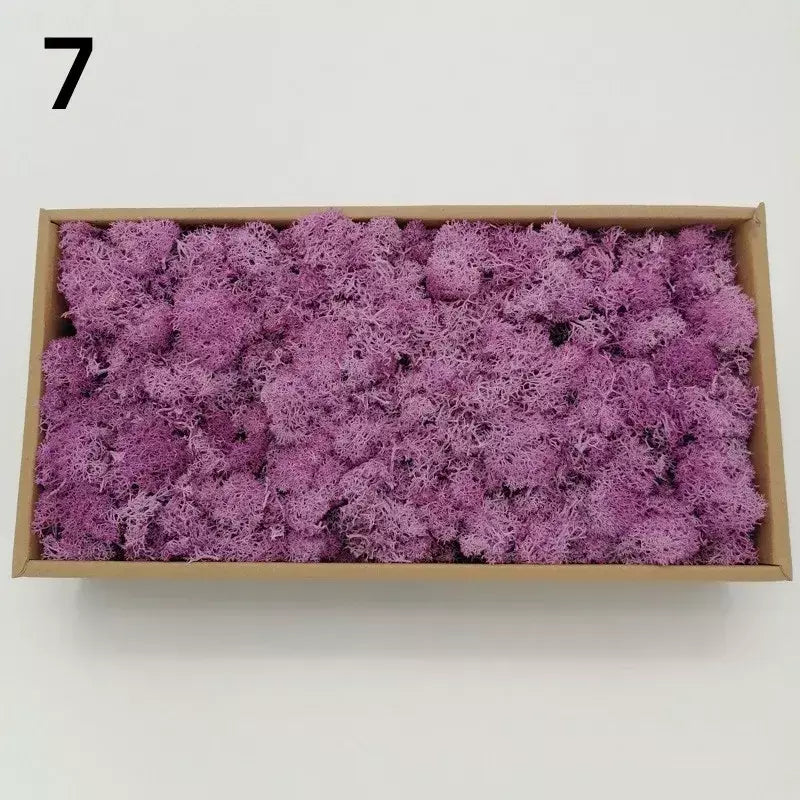Novo 50/30/10g plantas verdes artificiais vida eterna musgo grama casa decoração do jardim mini paisagem flor falsa diy artesanato presentes