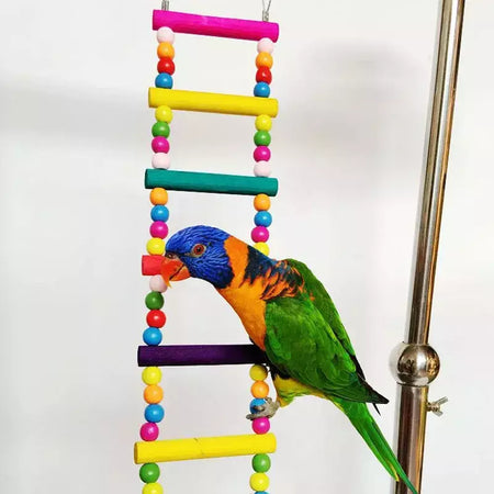Pássaro papagaio brinquedos colorido pendurado gaiola escadas de escalada com papagaios de madeira natural suspensão ponte balanço brinquedos pássaro brinquedo suprimentos