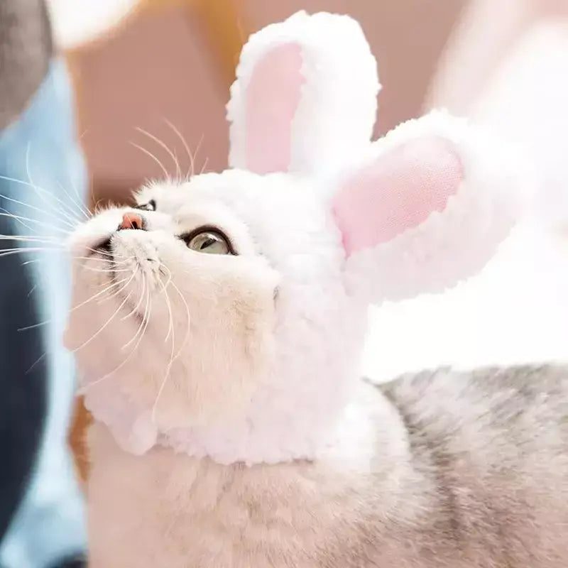 Gato cosplay vestir-se chapéu para animais de estimação juba de leão para gato filhote de cachorro leão peruca traje festa decoração halloween natal gatospet suprimentos