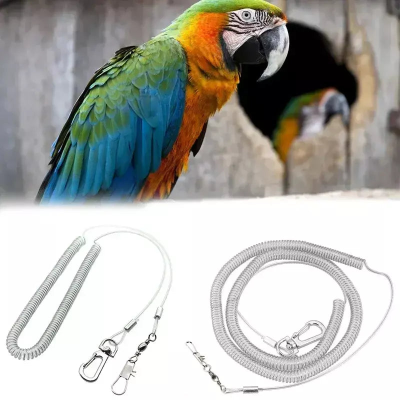 Pássaro pé corrente anti mordida corda de treinamento de vôo pássaro pé pulseira pet pássaro vôo viagem treinamento pássaro luz tornozelo corrente papagaio