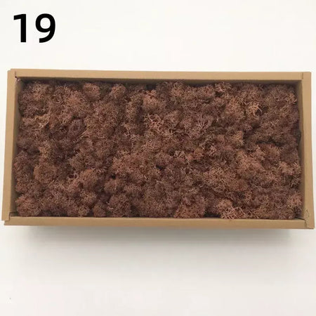 Novo 50/30/10g plantas verdes artificiais vida eterna musgo grama casa decoração do jardim mini paisagem flor falsa diy artesanato presentes