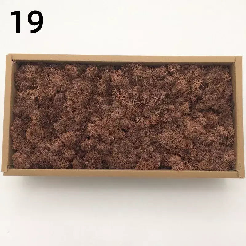 Novo 50/30/10g plantas verdes artificiais vida eterna musgo grama casa decoração do jardim mini paisagem flor falsa diy artesanato presentes