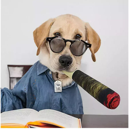 Cão interativo conjunta som filhote de cachorro brinquedos charuto para pequenos resistente rangido cães indestrutível cão de pelúcia mascar brinquedo pet mordida brinquedos
