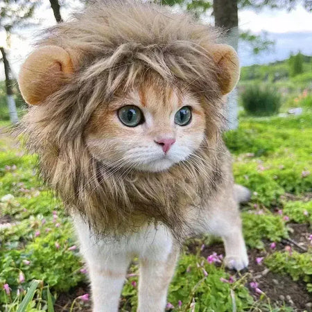 Gato cosplay vestir-se chapéu para animais de estimação juba de leão para gato filhote de cachorro leão peruca traje festa decoração halloween natal gatospet suprimentos
