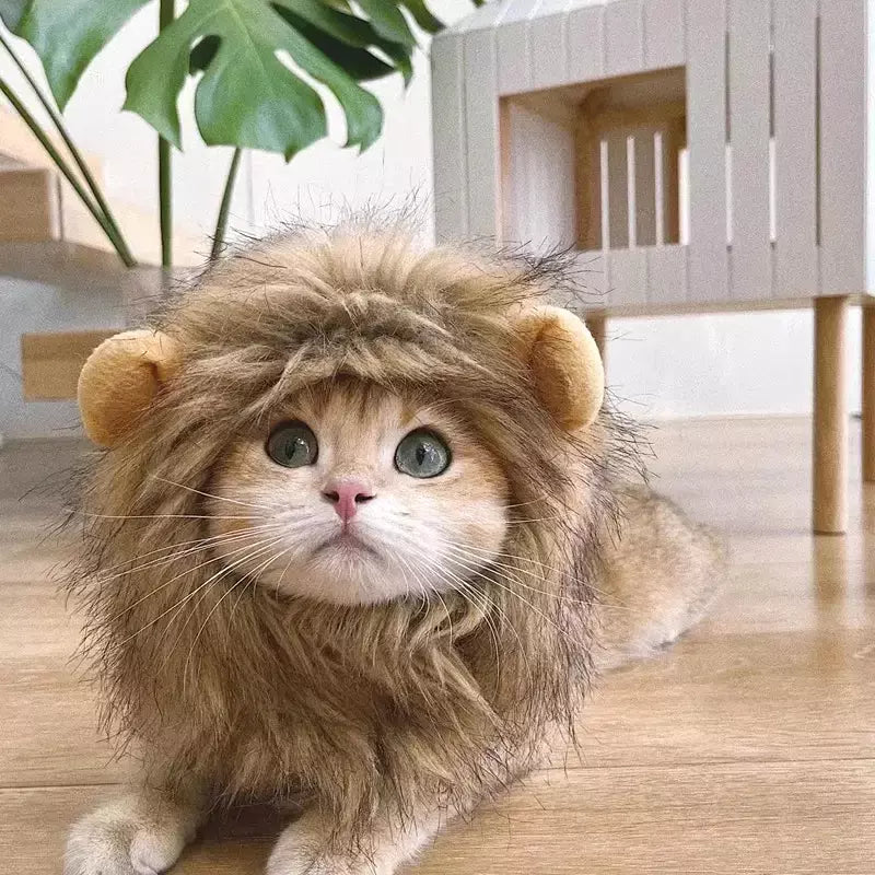 Gato cosplay vestir-se chapéu para animais de estimação juba de leão para gato filhote de cachorro leão peruca traje festa decoração halloween natal gatospet suprimentos