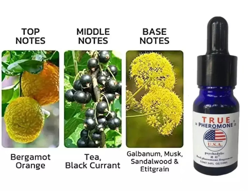 Feromônio forte para homens, 10ml, atrair mulheres, feromônio de longa duração, óleo de fragrância para homens, eventos sociais de negócios, datas noturnas