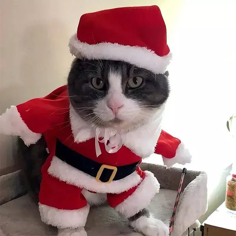 Gato natal cosplay terno animais de estimação roupas para cães pequenos animal de estimação engraçado papai noel vestir-se traje bonito gatinho ano novo maine vestuário