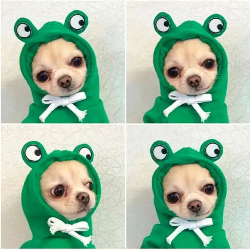 Animal de estimação com capuz roupas para cães bulldog frances aparelhos para pequeno cão traje casaco jaquetas vestuário inverno ropa para perros acessórios