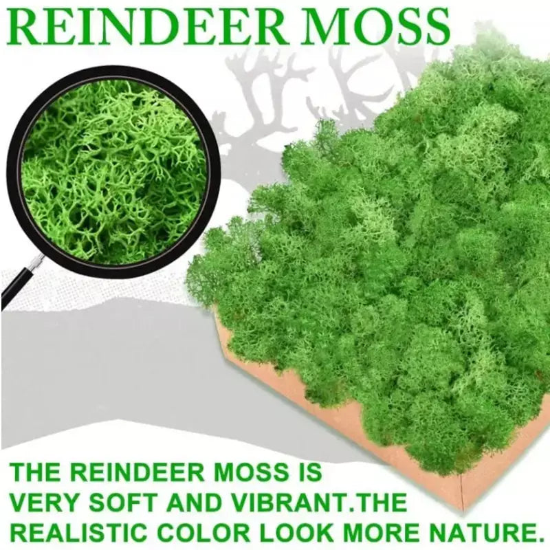 Novo 50/30/10g plantas verdes artificiais vida eterna musgo grama casa decoração do jardim mini paisagem flor falsa diy artesanato presentes