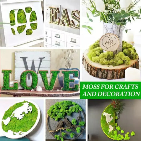 Novo 50/30/10g plantas verdes artificiais vida eterna musgo grama casa decoração do jardim mini paisagem flor falsa diy artesanato presentes