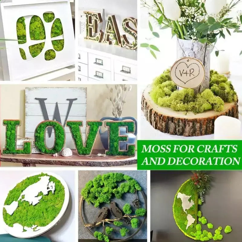 Novo 50/30/10g plantas verdes artificiais vida eterna musgo grama casa decoração do jardim mini paisagem flor falsa diy artesanato presentes