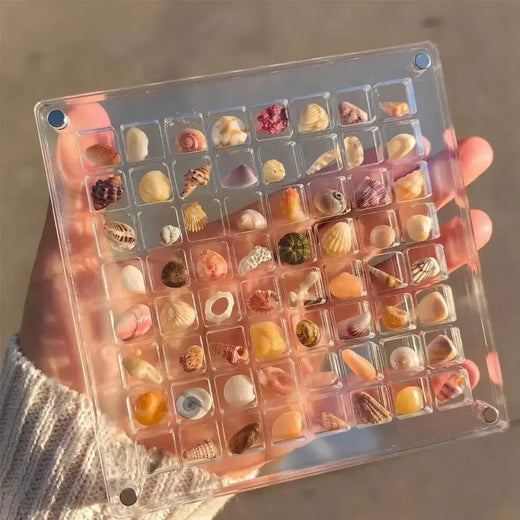 Caixa de exibição acrílica Seashell, concha magnética, organizadores claros Starfish Trinket, caixa de armazenamento Mini Seashell, 36, 64, 100 grades