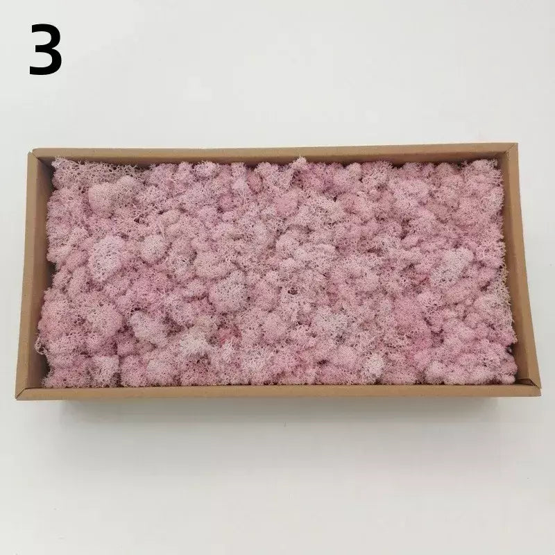 Novo 50/30/10g plantas verdes artificiais vida eterna musgo grama casa decoração do jardim mini paisagem flor falsa diy artesanato presentes